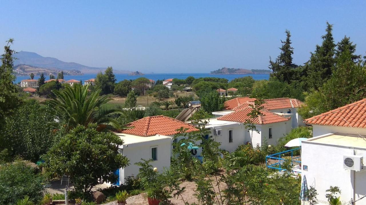 Kavaki Studios Petra  Dış mekan fotoğraf