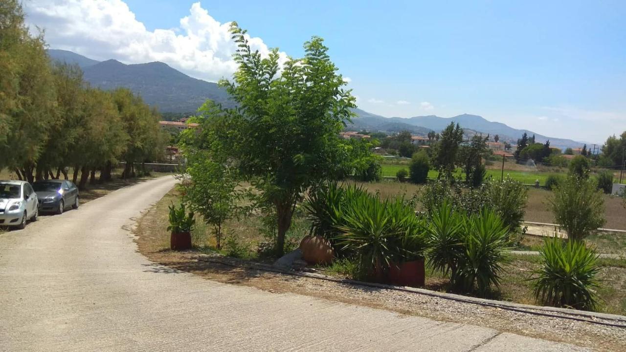 Kavaki Studios Petra  Dış mekan fotoğraf