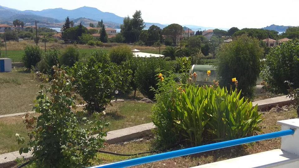 Kavaki Studios Petra  Dış mekan fotoğraf